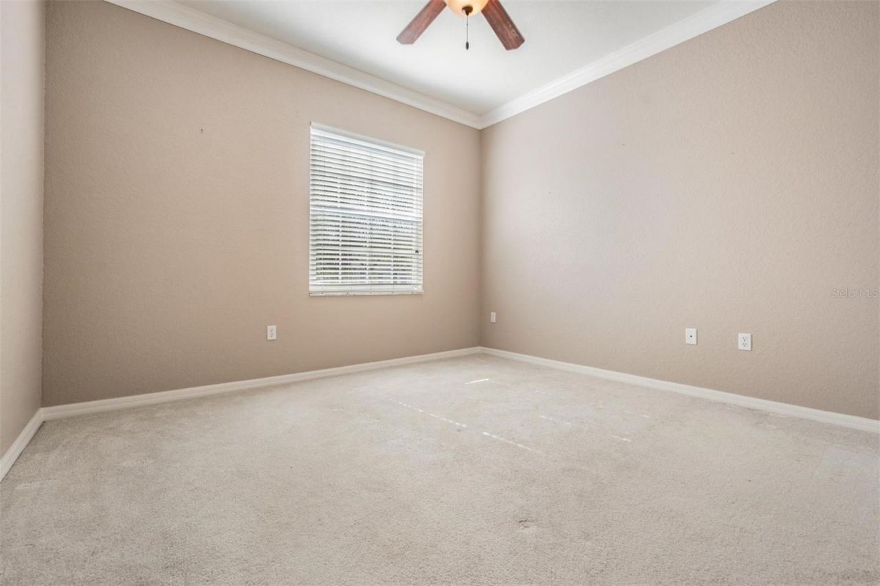 3494 Primrose Way, Palm Harbor, FL 34683 Photo