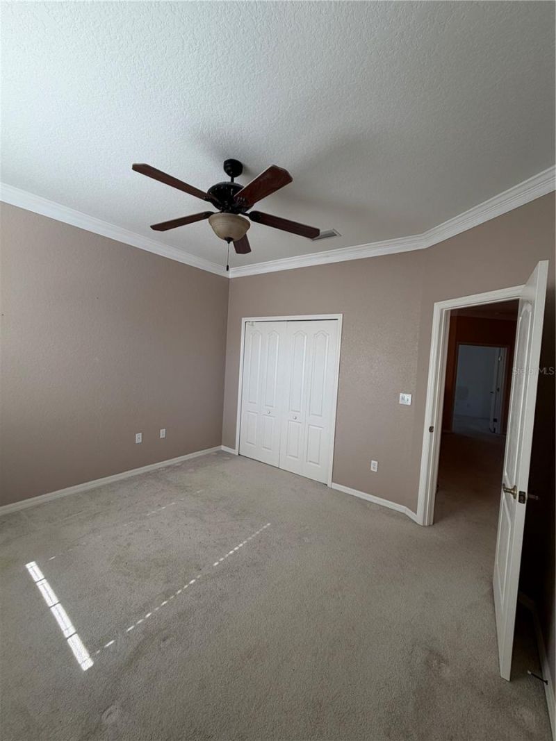3494 Primrose Way, Palm Harbor, FL 34683 Photo