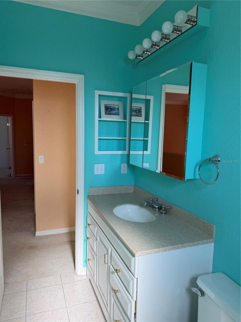 3494 Primrose Way, Palm Harbor, FL 34683 Photo