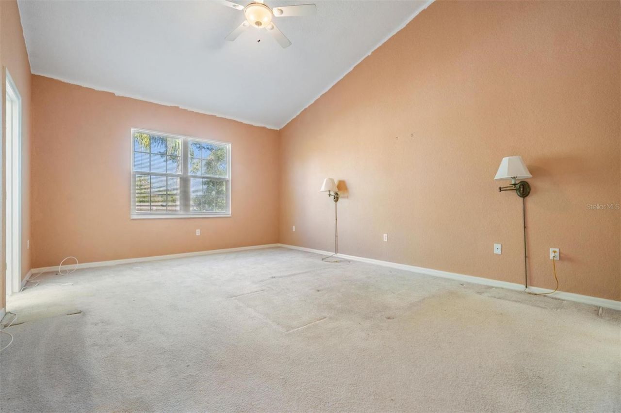 3494 Primrose Way, Palm Harbor, FL 34683 Photo