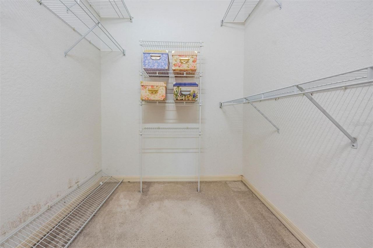 3494 Primrose Way, Palm Harbor, FL 34683 Photo