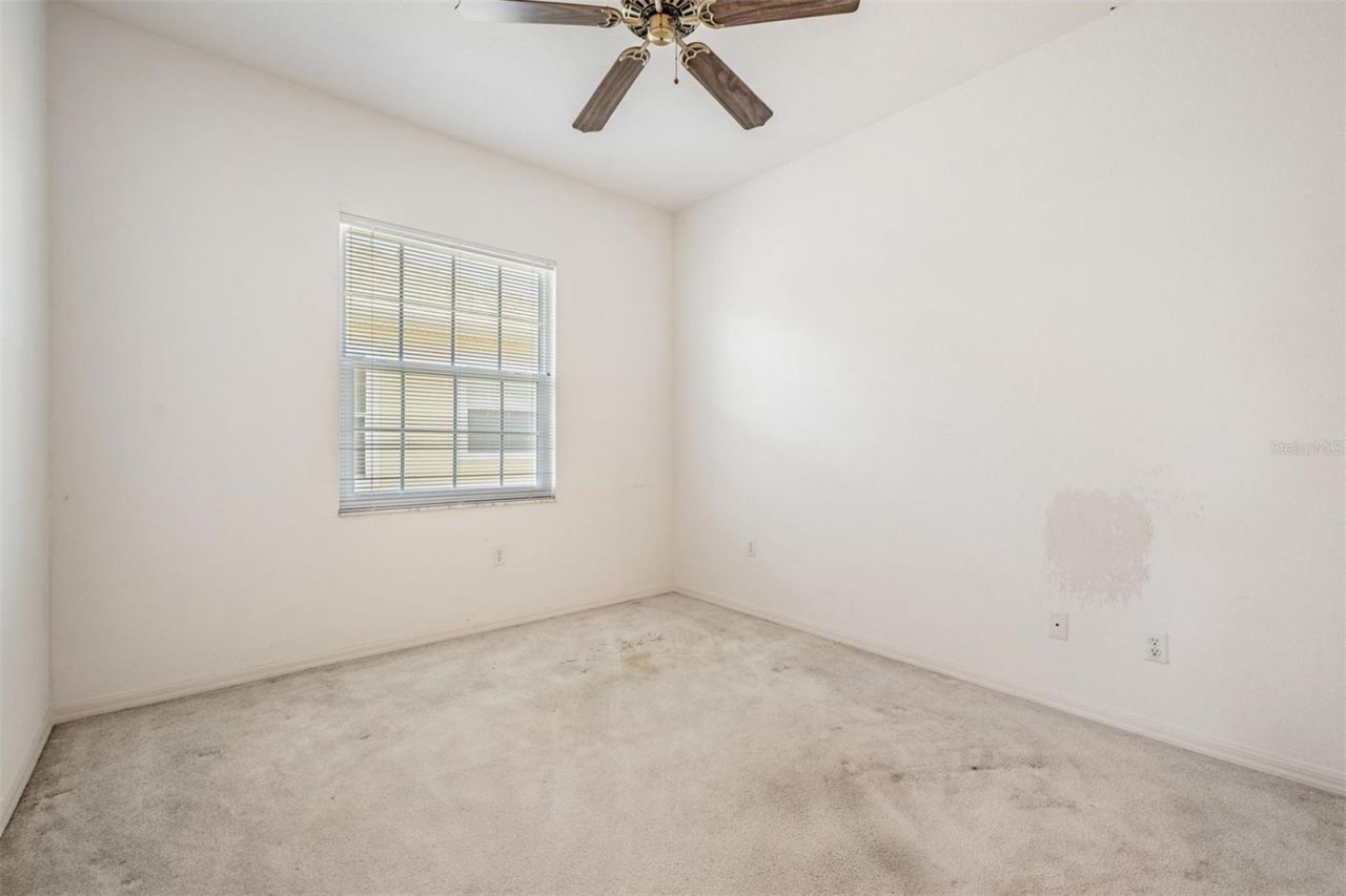 3494 Primrose Way, Palm Harbor, FL 34683 Photo