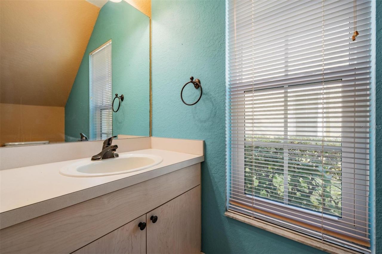 3494 Primrose Way, Palm Harbor, FL 34683 Photo