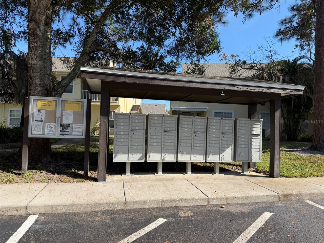3494 Primrose Way, Palm Harbor, FL 34683 Photo