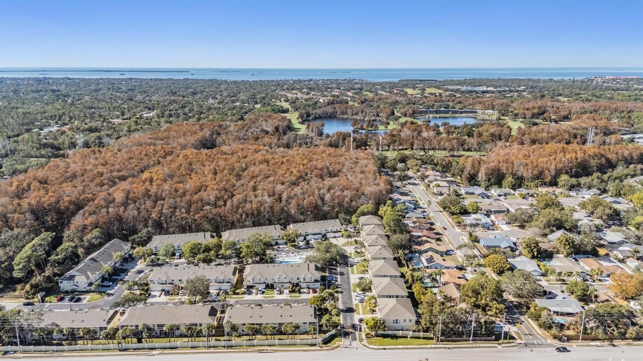 3494 Primrose Way, Palm Harbor, FL 34683 Photo