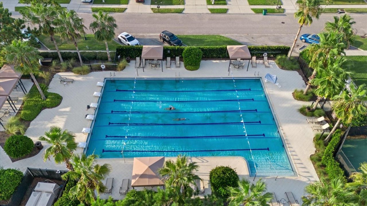 7162 Graybrook Drive, Wesley Chapel, FL 33545 Photo