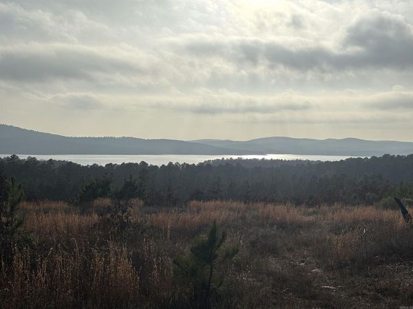 Lot 75 Waterview Drive, Roland, AR 72135