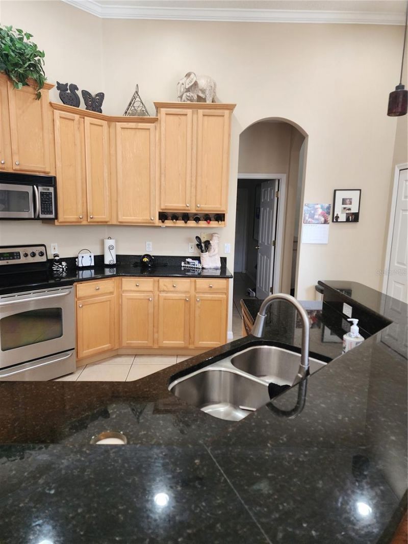 3833 Emerald Estates Circle, Apopka, FL 32703 Photo