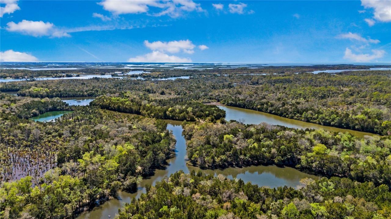 3929 N Sagomon Point, Crystal River, FL 34428 Photo