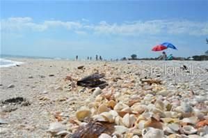 2101 SW Trafalgar Parkway, Cape Coral, FL 33991 Photo