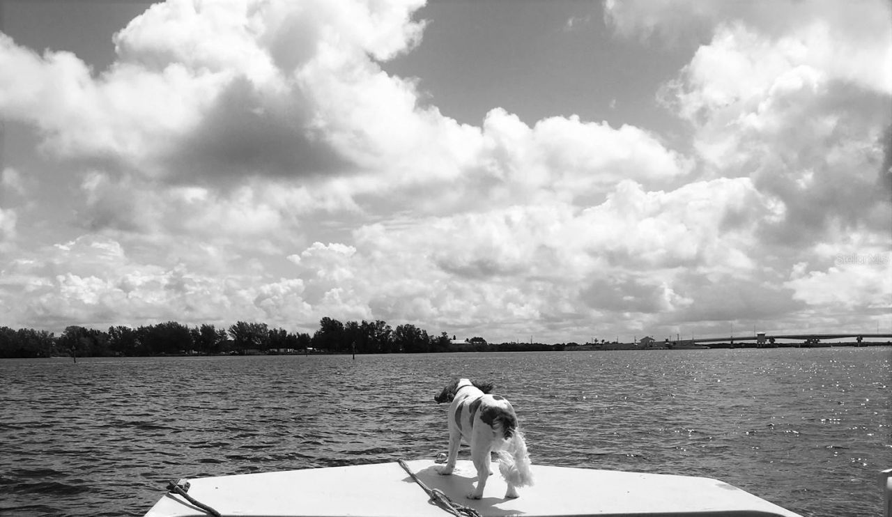 2101 SW Trafalgar Parkway, Cape Coral, FL 33991 Photo