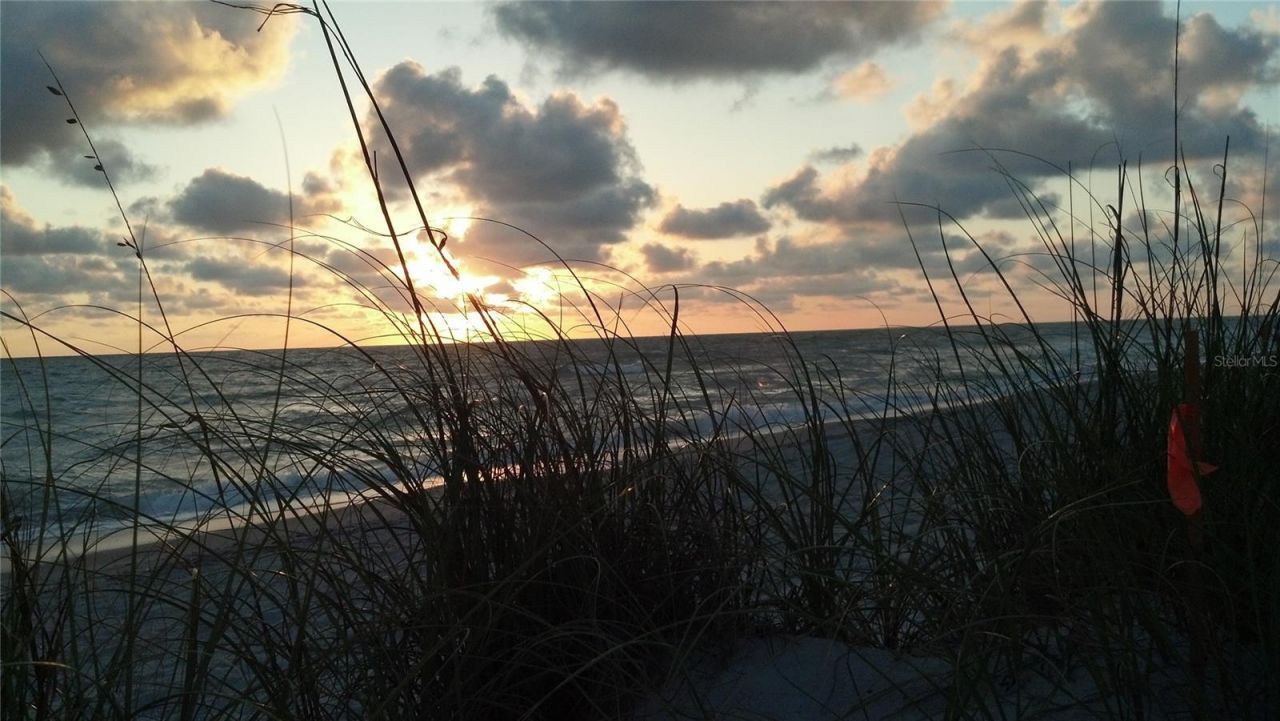 2101 SW Trafalgar Parkway, Cape Coral, FL 33991 Photo