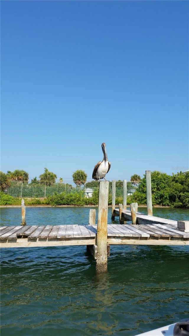 2101 SW Trafalgar Parkway, Cape Coral, FL 33991 Photo