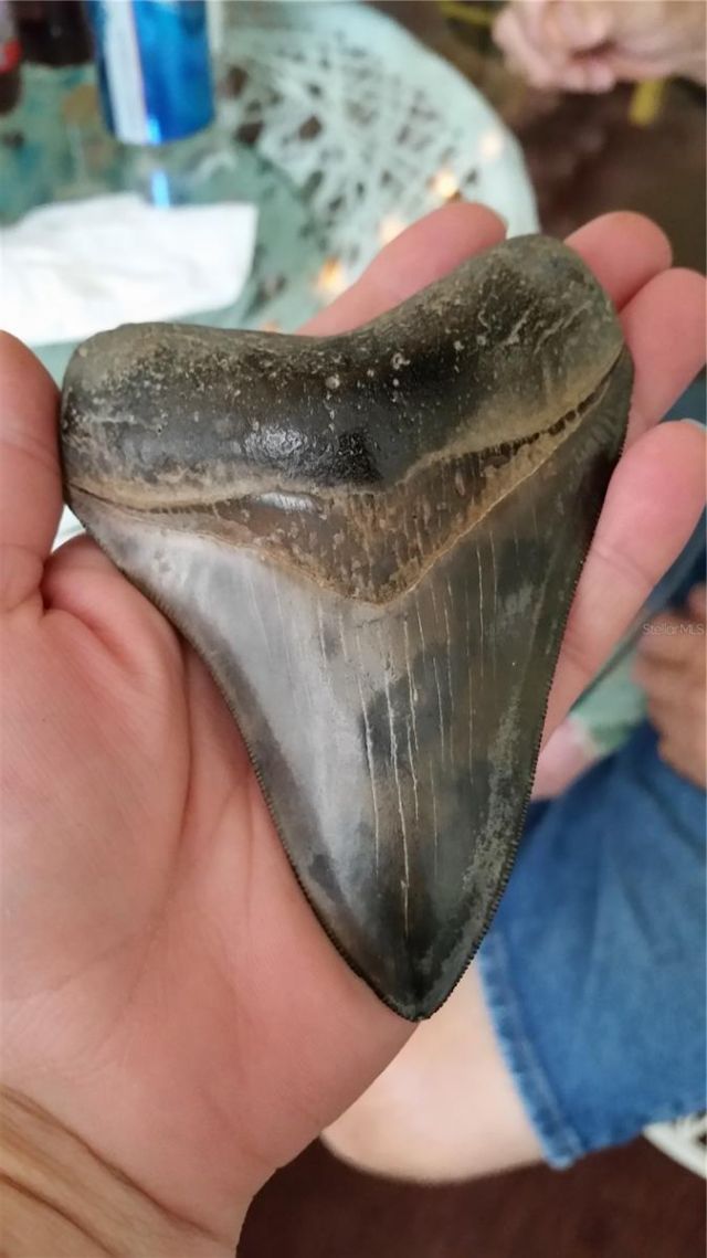 2101 SW Trafalgar Parkway, Cape Coral, FL 33991 Photo