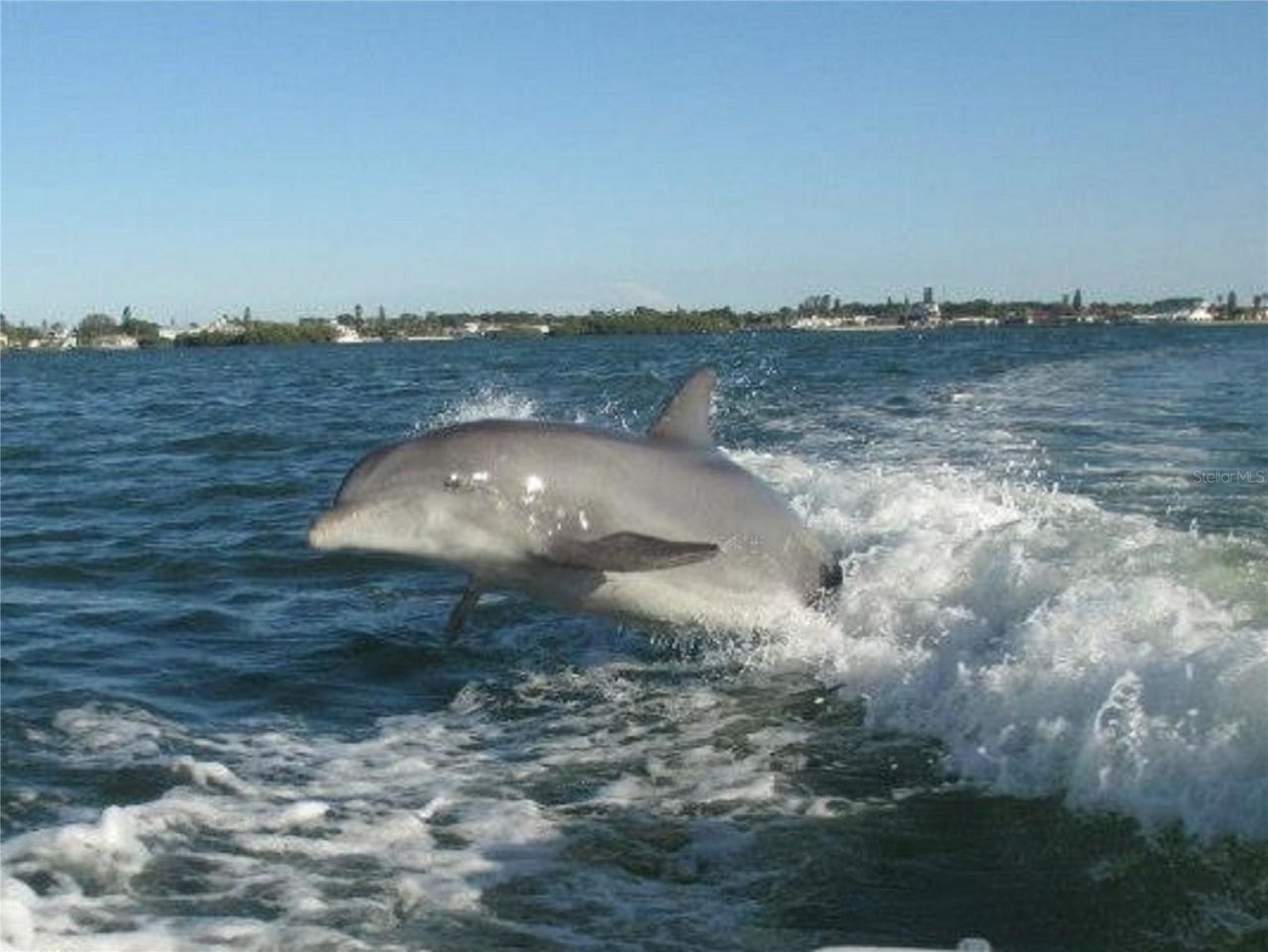 2101 SW Trafalgar Parkway, Cape Coral, FL 33991 Photo