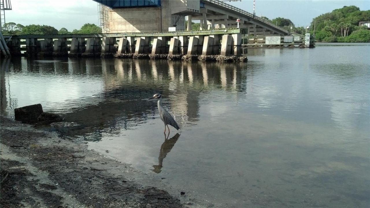 2101 SW Trafalgar Parkway, Cape Coral, FL 33991 Photo