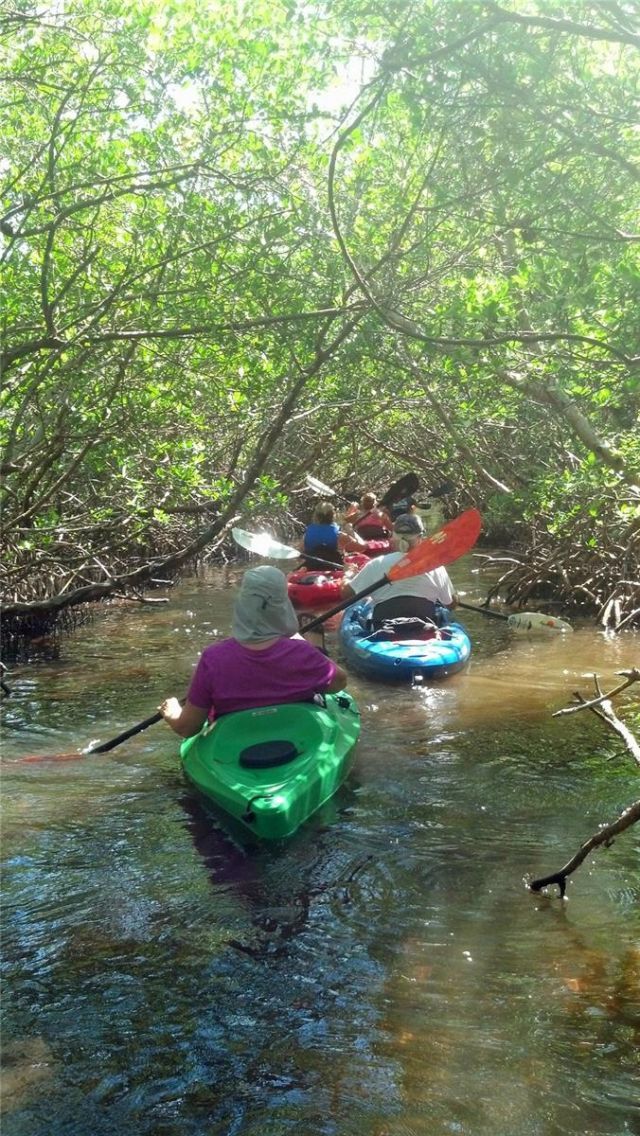 2101 SW Trafalgar Parkway, Cape Coral, FL 33991 Photo