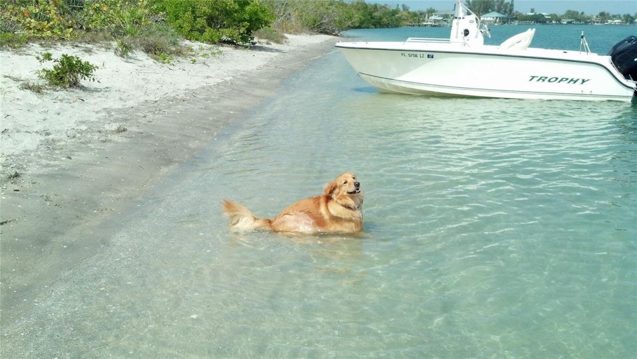 2101 SW Trafalgar Parkway, Cape Coral, FL 33991 Photo