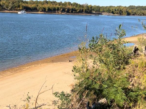 5335 Cravens Rd, Savannah, TN 38372