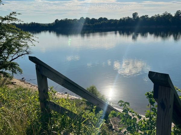 520 Caden Cv, Savannah, TN 38372