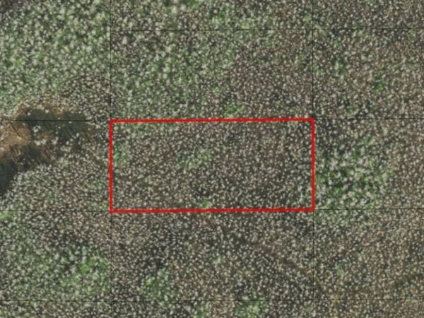 0 HOLOPAW GROVES RD, St. Cloud, FL 34772