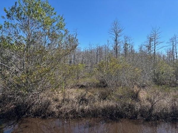 0 Holopaw Groves Road, St. Cloud, FL 34772