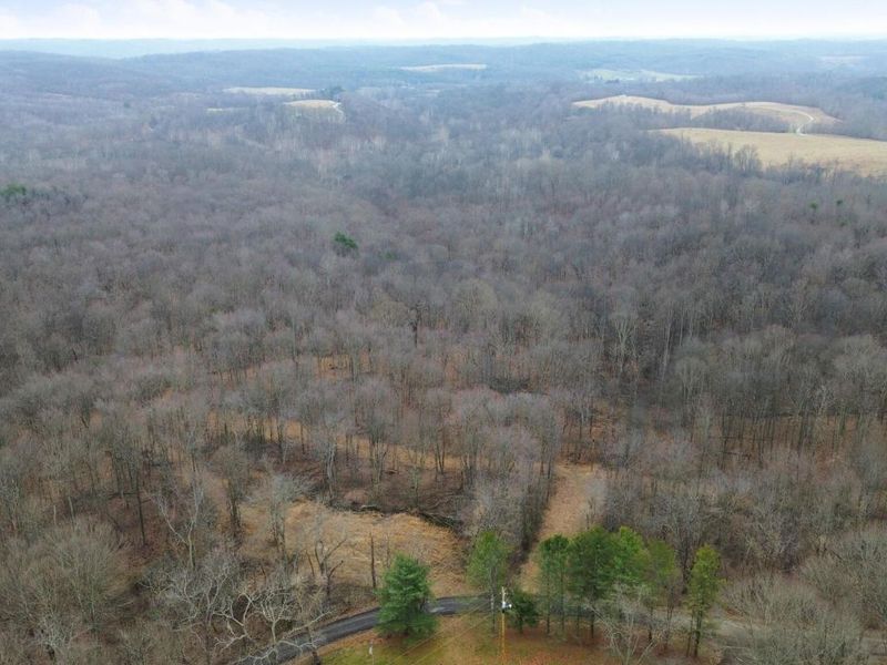 67884 Minnie White Road, McArthur, OH 45651 Photo 4