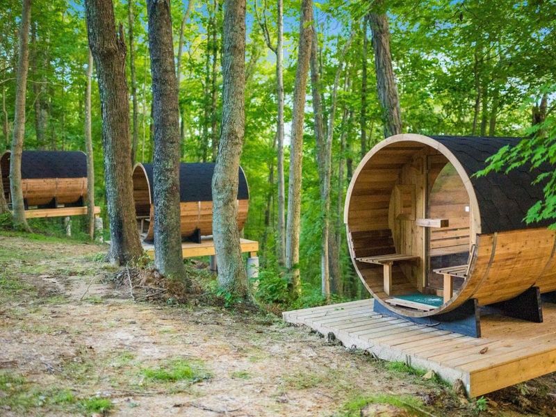 67884 Minnie White Road , McArthur, OH 45651 Photo 5