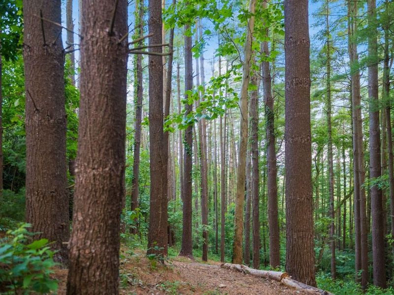 67884 Minnie White Road , McArthur, OH 45651 Photo 76