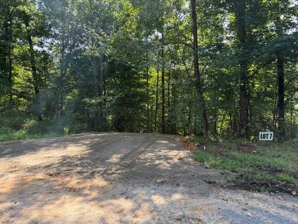 7 Slaughter Rd N, Unit 7 & 8, Primm Springs, TN 38476