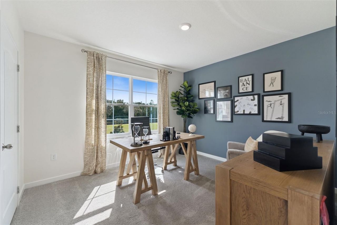 2325 Baywood Flower Way, Ocoee, FL 34761 Photo