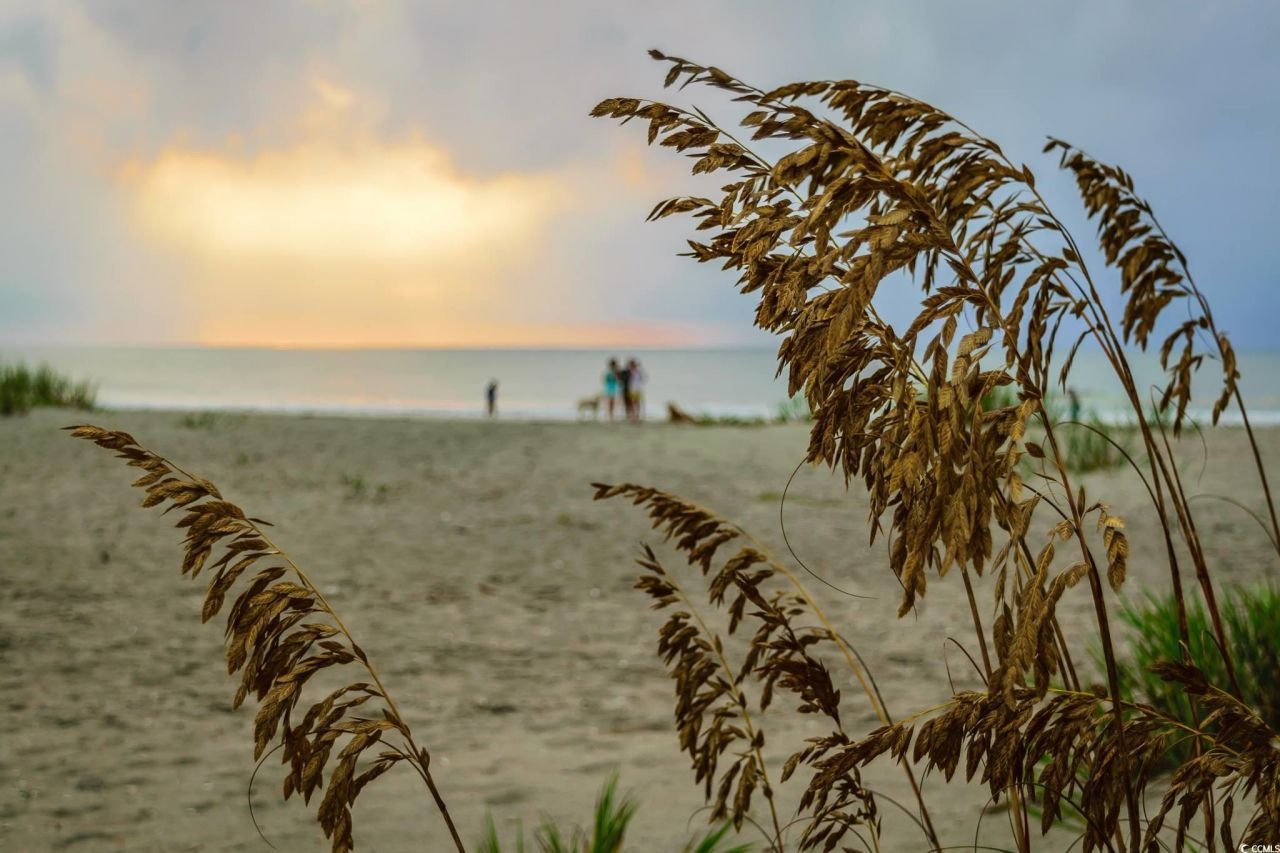 7809 Monarch Dr. Photo 32