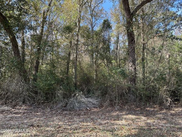 Hoffpauir Road , Gueydan, LA 70542