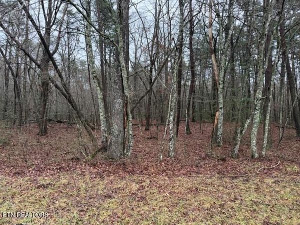 Lot 5 Cumberland Lakes Drive, Monterey, TN 38574