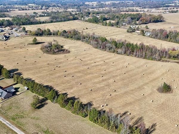 TBD County Road 4200, Winnsboro, TX 75494
