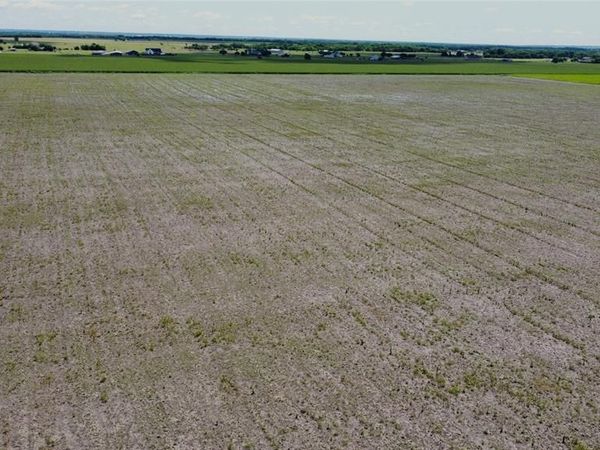 10628 County Road 103 , Grandview, TX 76050