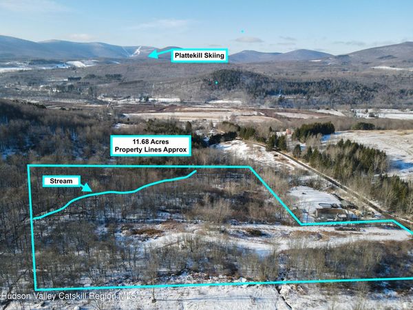 480 Hall Road, Roxbury, NY 12474