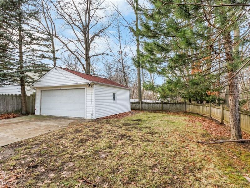 25031 Glenbrook Boulevard, Euclid, OH 44117 Photo 6