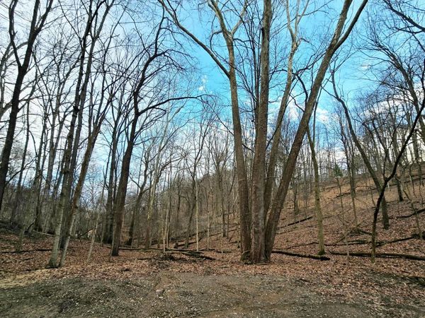 1767 Mohican Court , Hide A Way Hills, OH 43107