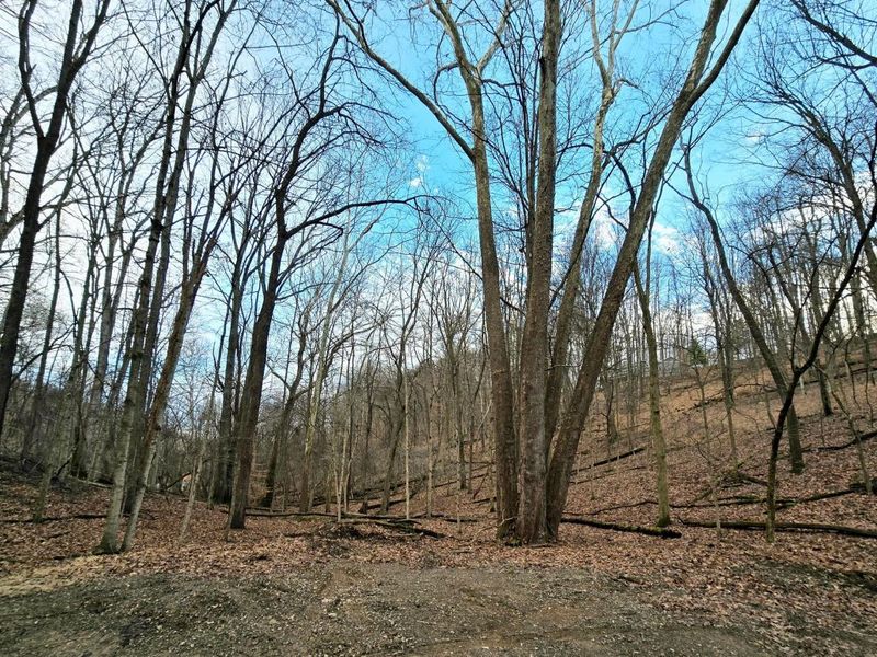 1767 Mohican Court , Hideaway Hills, OH 43107 Photo 1