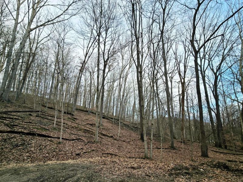 1767 Mohican Court , Hideaway Hills, OH 43107 Photo 3