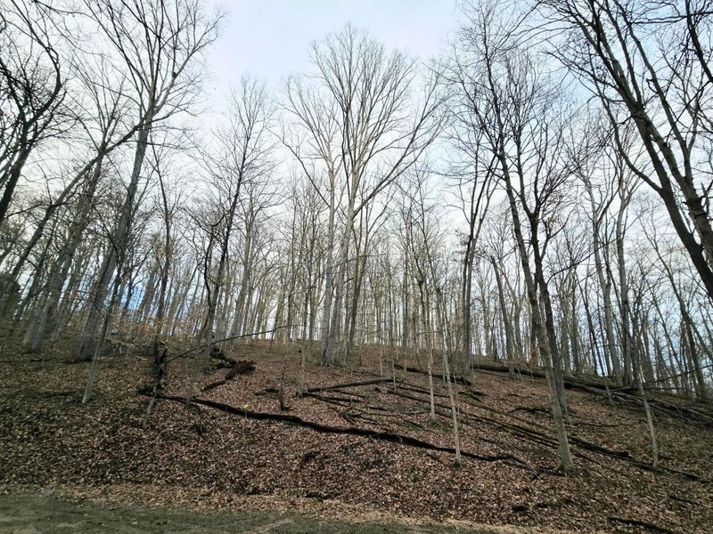 1767 Mohican Court , Hideaway Hills, OH 43107 Photo 4