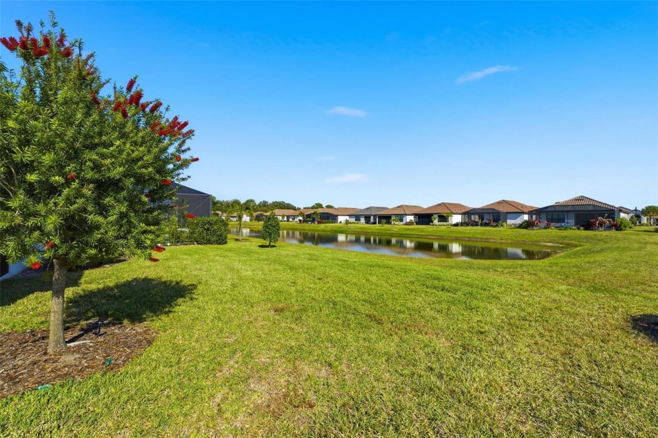 11104 Devonbridge Drive, Palmetto, FL 34221 Photo