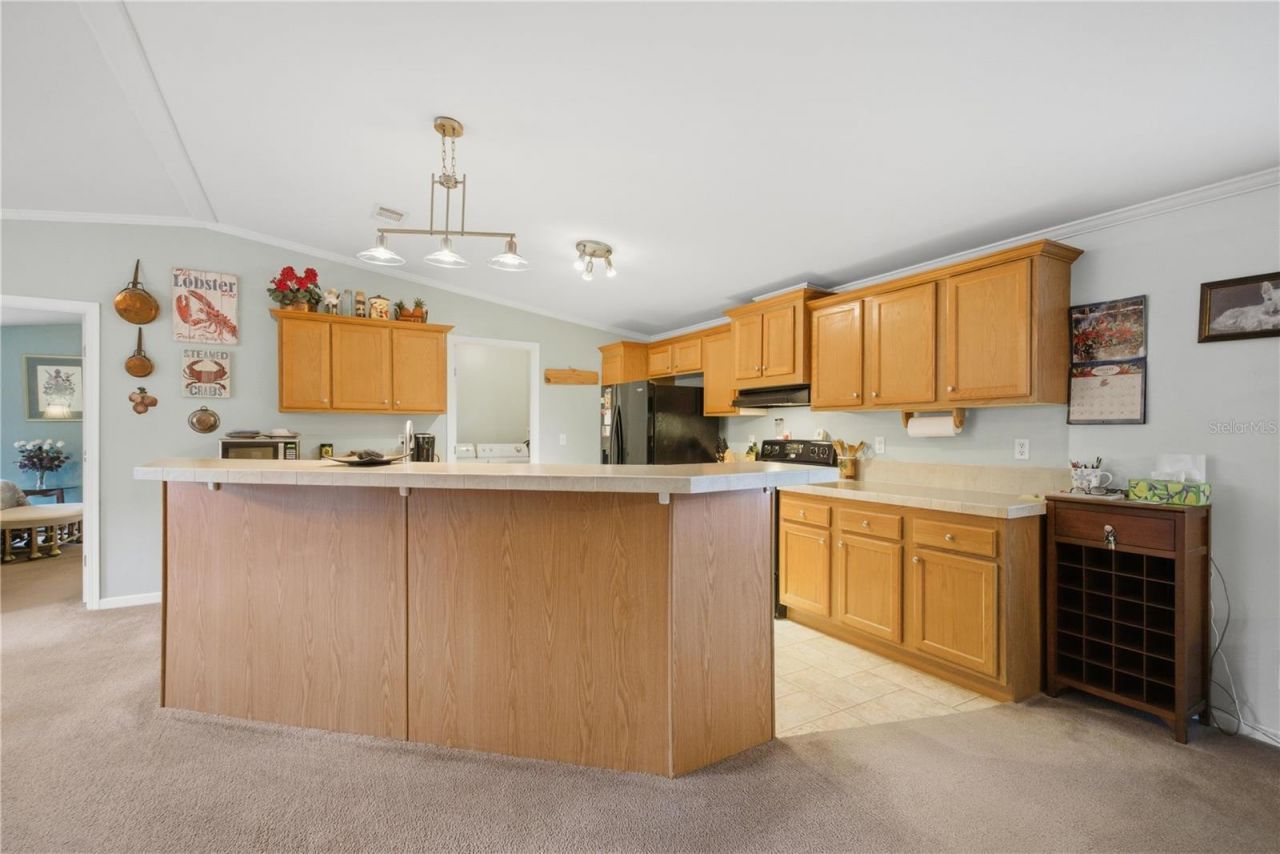 201 Plumosa Drive, Georgetown, FL 32139 Photo