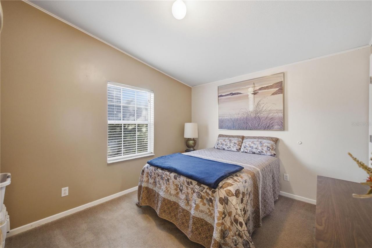 201 Plumosa Drive, Georgetown, FL 32139 Photo