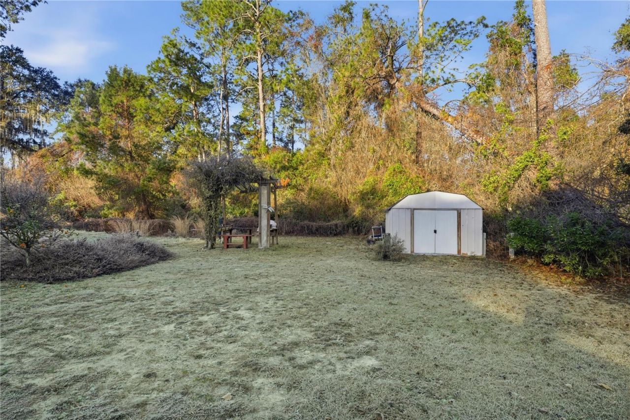 201 Plumosa Drive, Georgetown, FL 32139 Photo