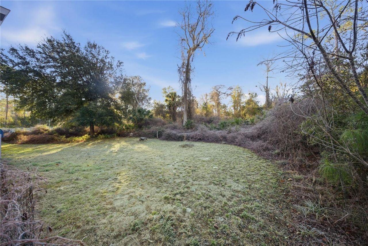 201 Plumosa Drive, Georgetown, FL 32139 Photo