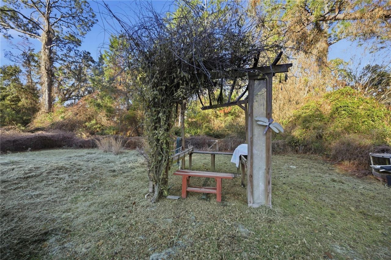 201 Plumosa Drive, Georgetown, FL 32139 Photo