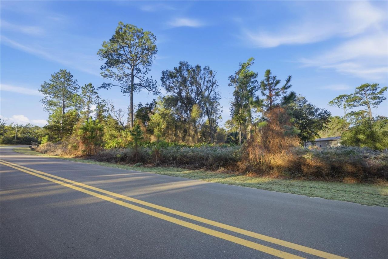 201 Plumosa Drive, Georgetown, FL 32139 Photo