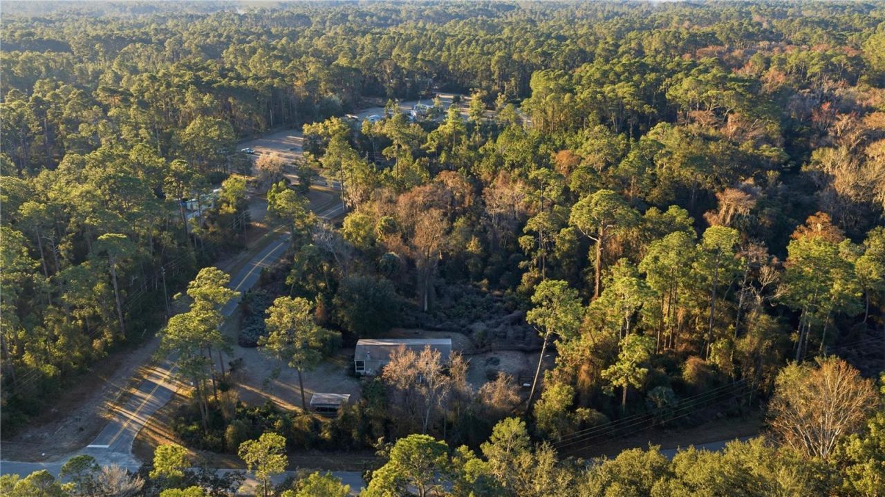 201 Plumosa Drive, Georgetown, FL 32139 Photo